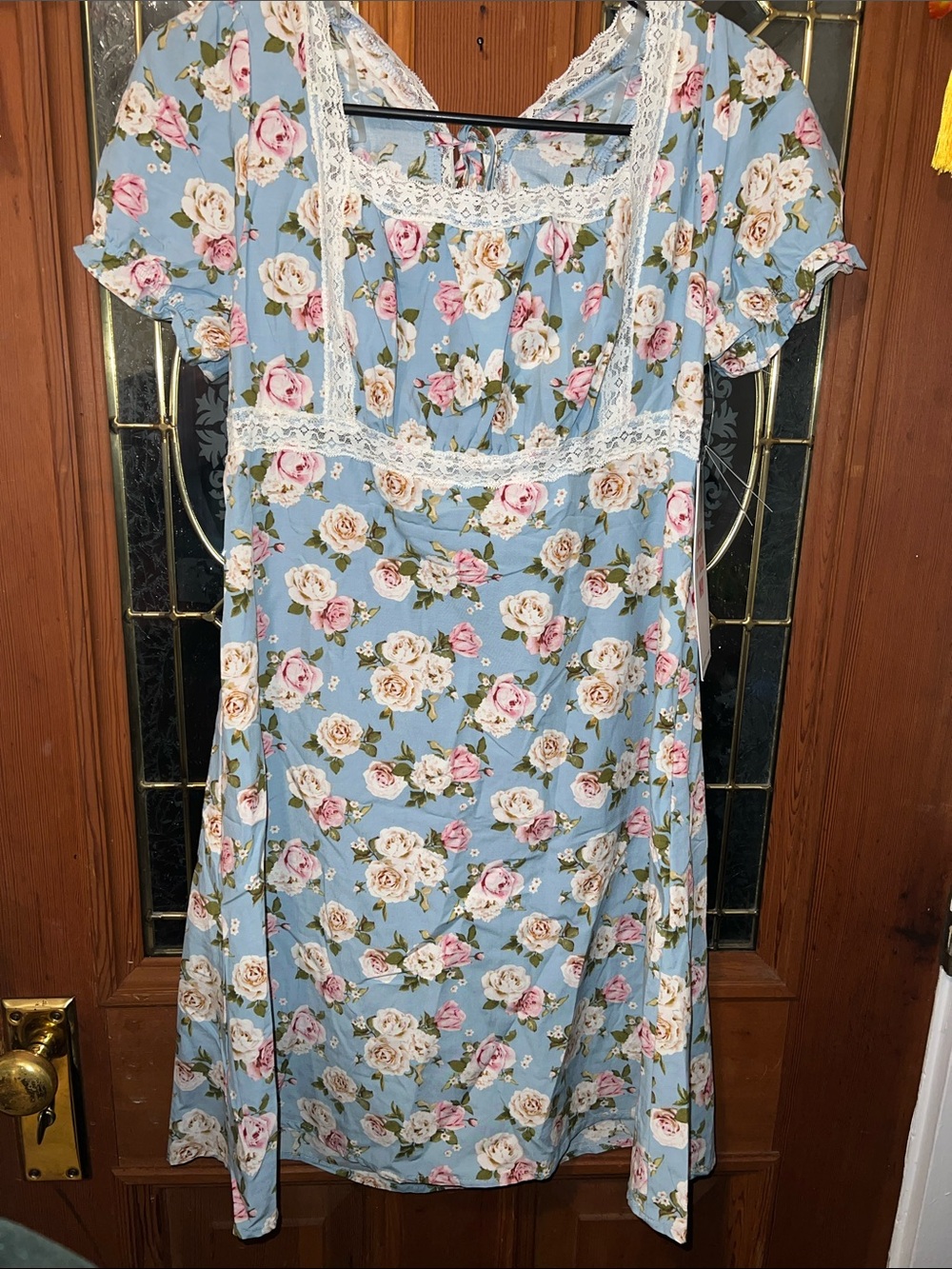 Celebrity Pink Blue Floral Lace-Trim Dress